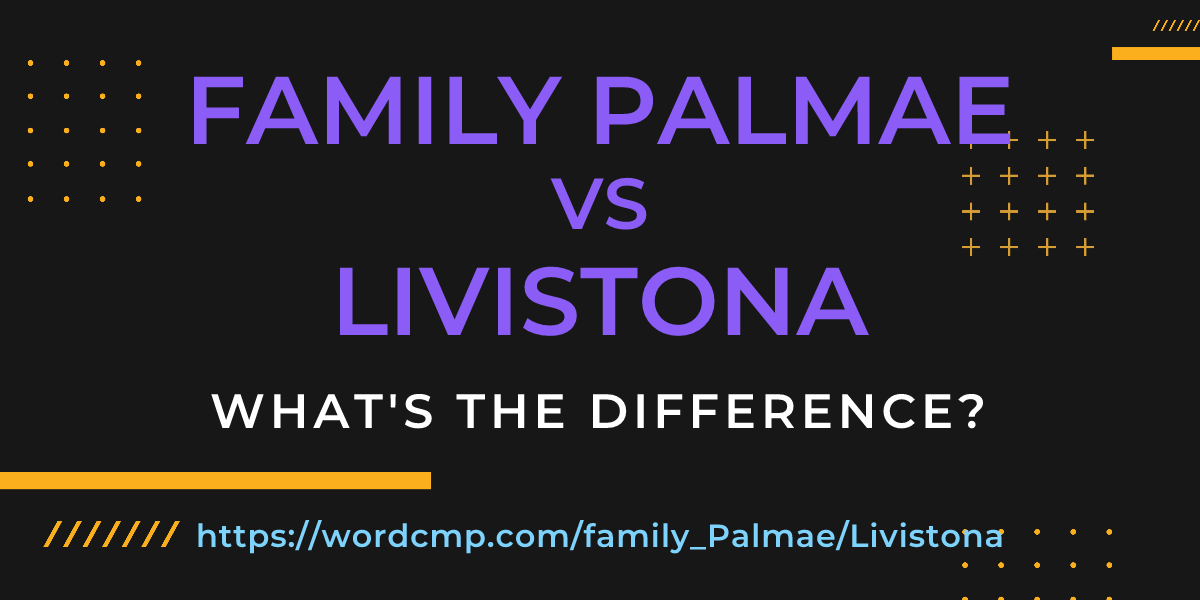 Difference between family Palmae and Livistona