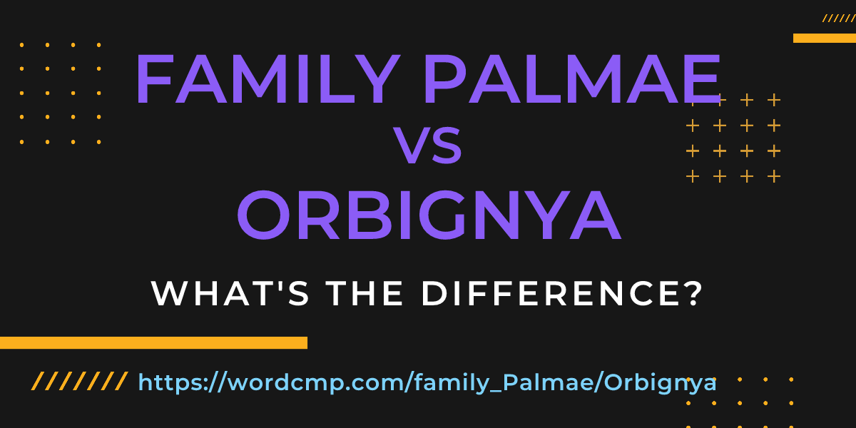 Difference between family Palmae and Orbignya
