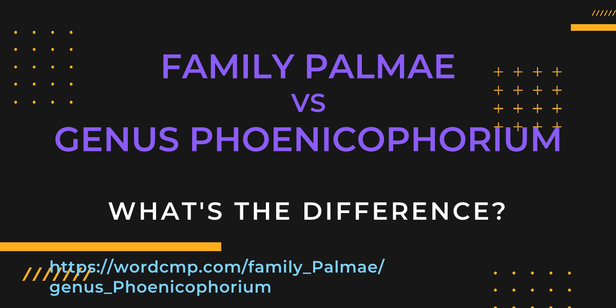 Difference between family Palmae and genus Phoenicophorium