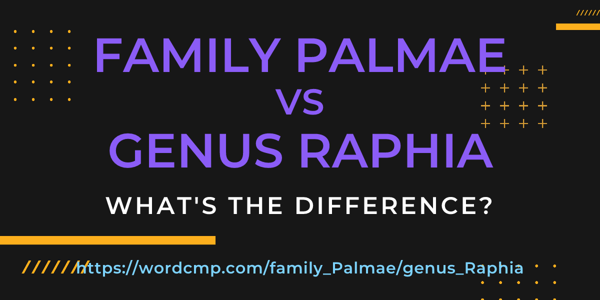 Difference between family Palmae and genus Raphia