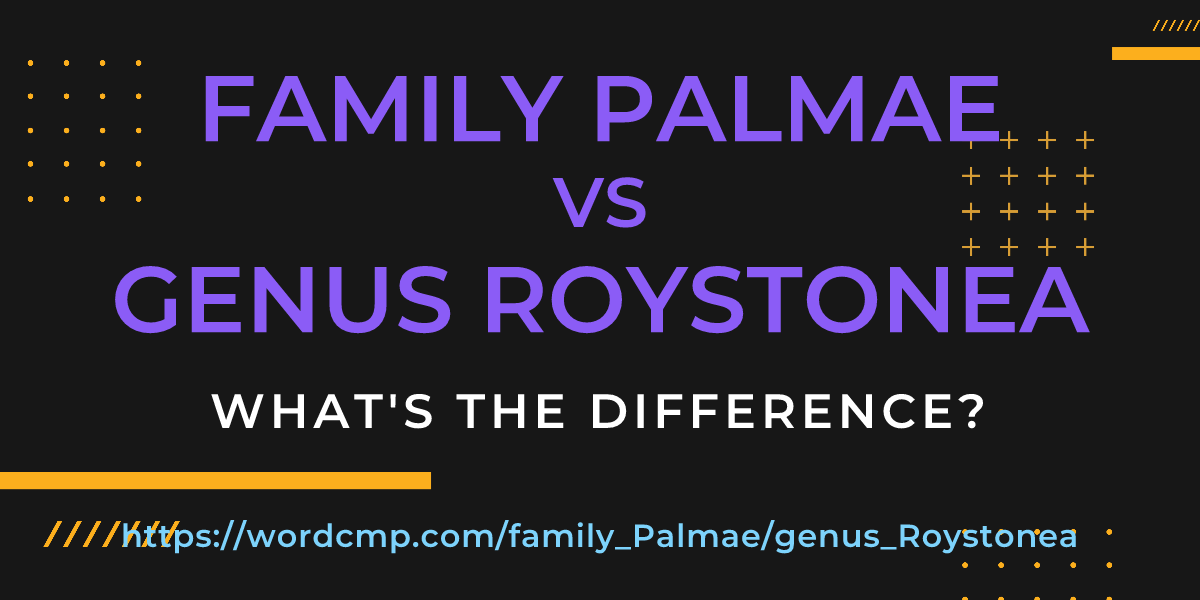Difference between family Palmae and genus Roystonea