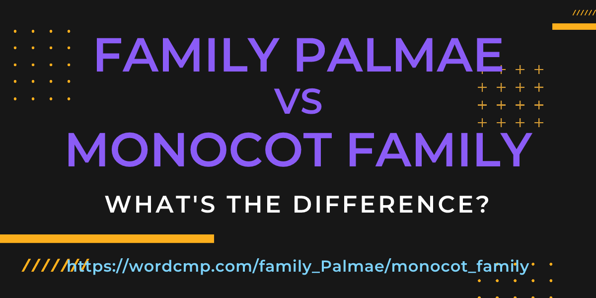 Difference between family Palmae and monocot family
