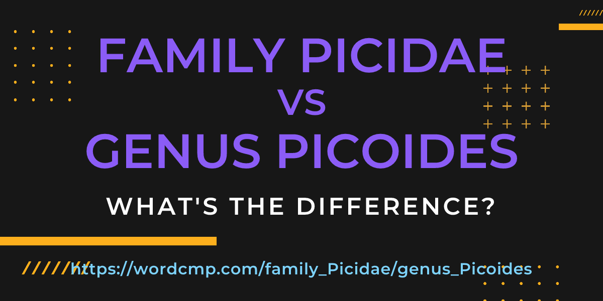 Difference between family Picidae and genus Picoides