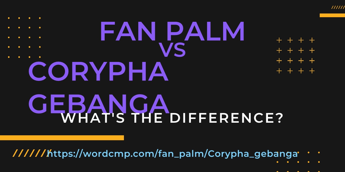 Difference between fan palm and Corypha gebanga