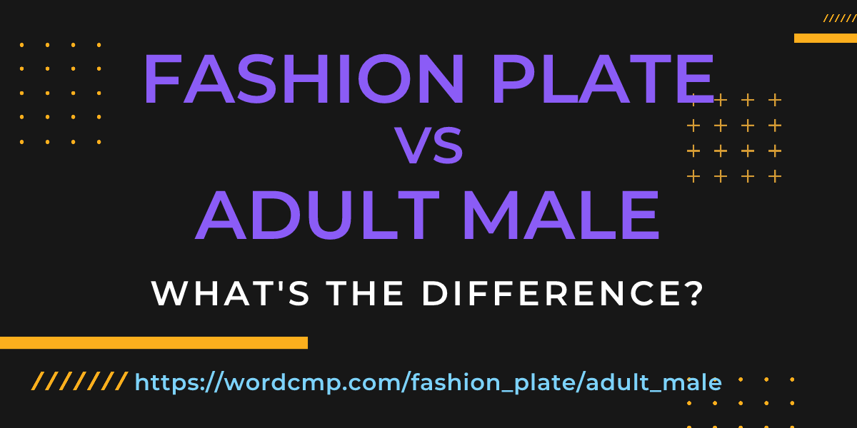 Difference between fashion plate and adult male