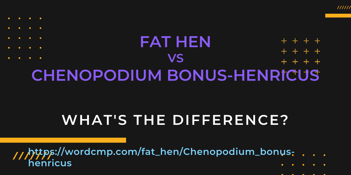 Difference between fat hen and Chenopodium bonus-henricus