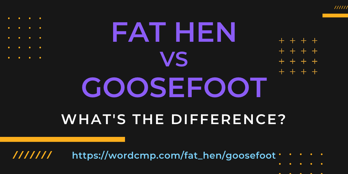 Difference between fat hen and goosefoot