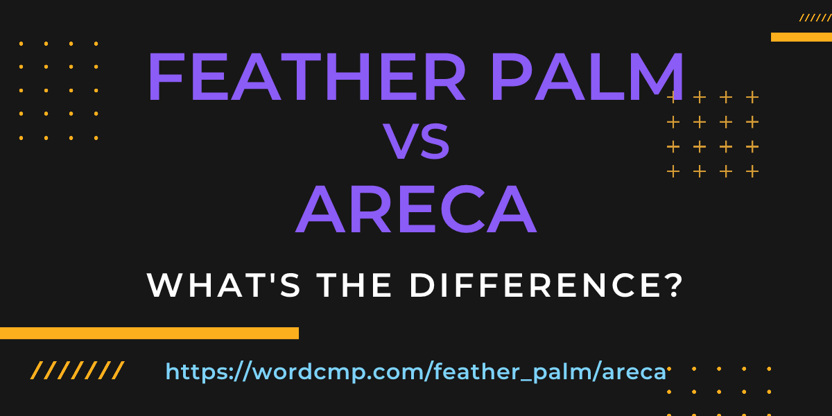 Difference between feather palm and areca