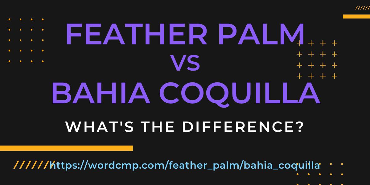 Difference between feather palm and bahia coquilla