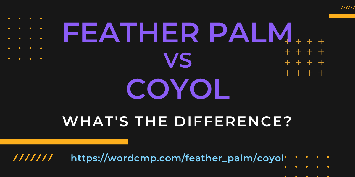 Difference between feather palm and coyol