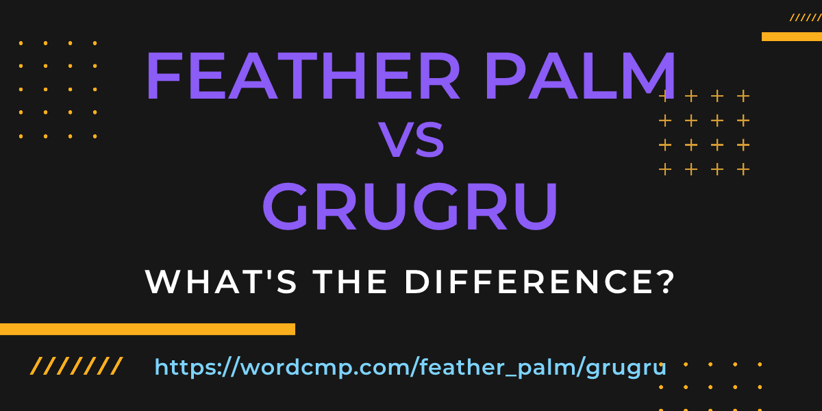 Difference between feather palm and grugru