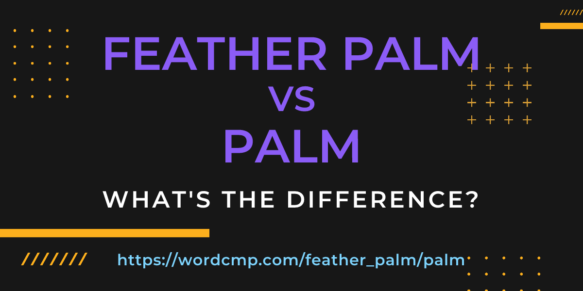 Difference between feather palm and palm