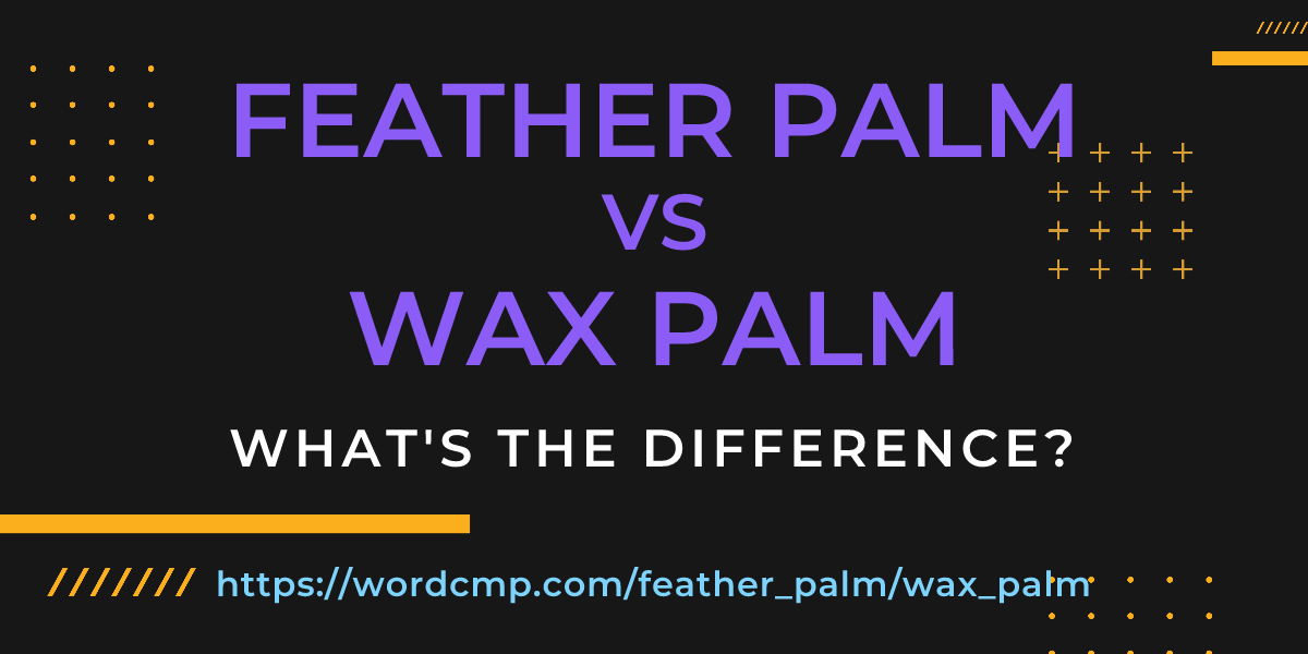 Difference between feather palm and wax palm