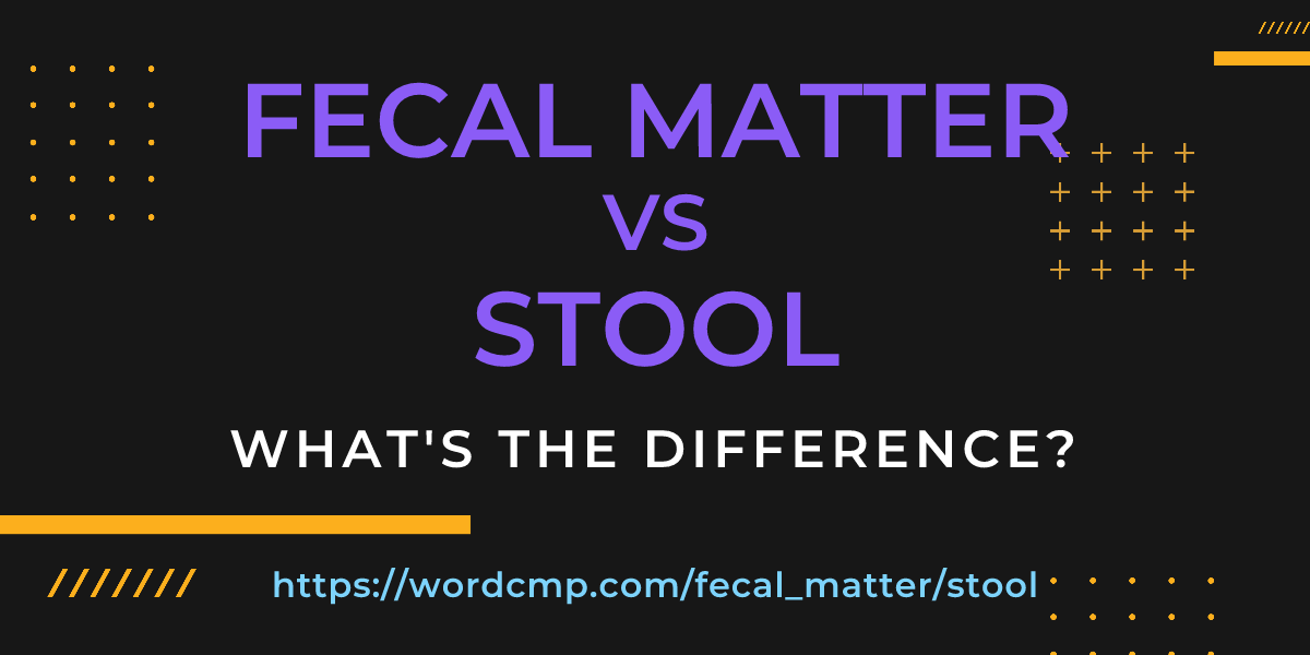 Difference between fecal matter and stool