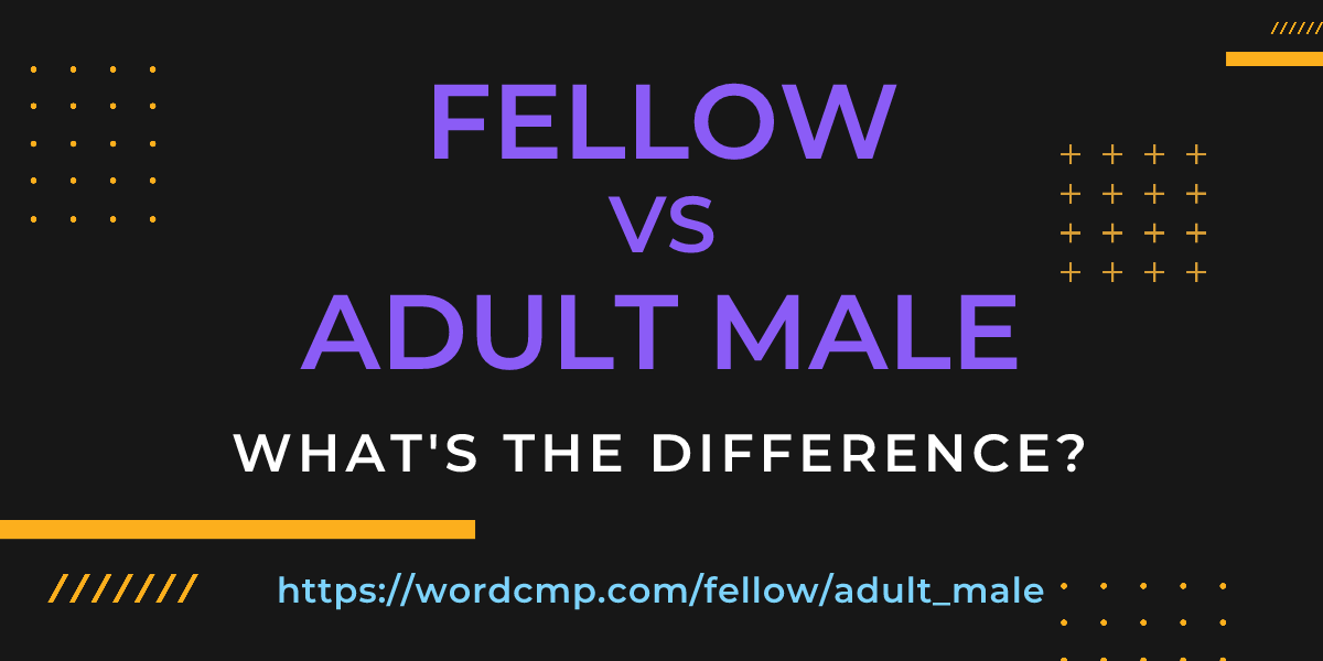 Difference between fellow and adult male
