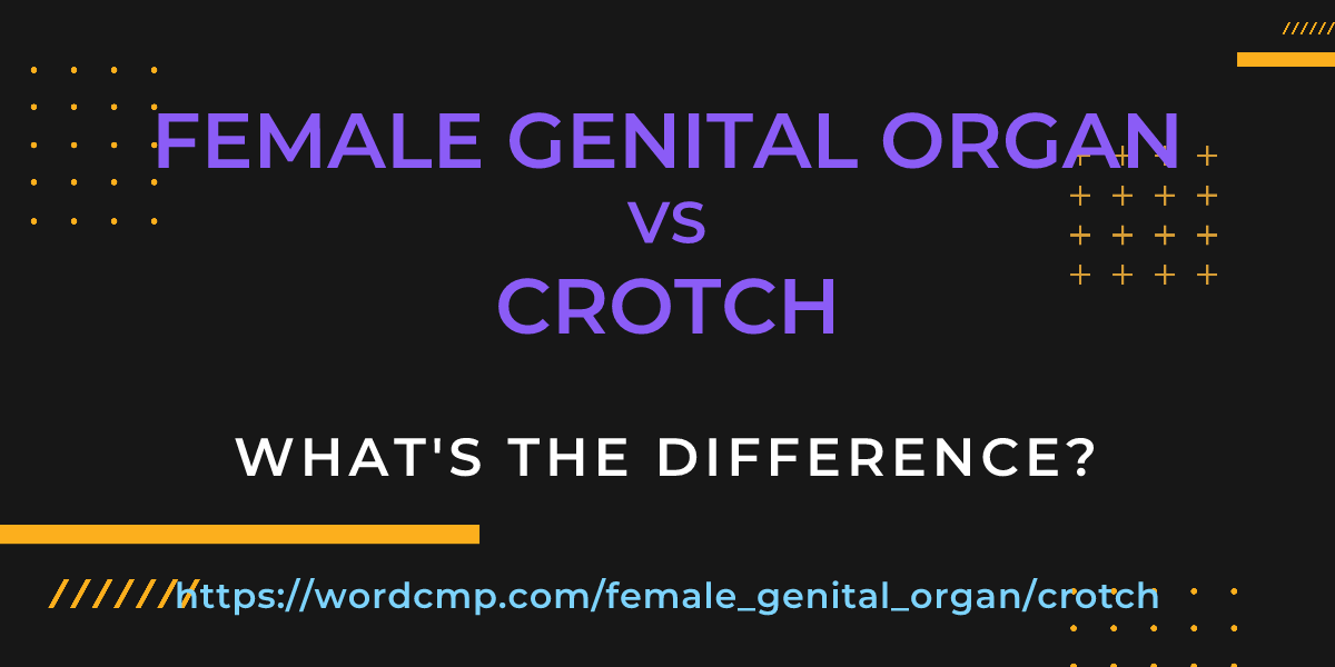 Difference between female genital organ and crotch