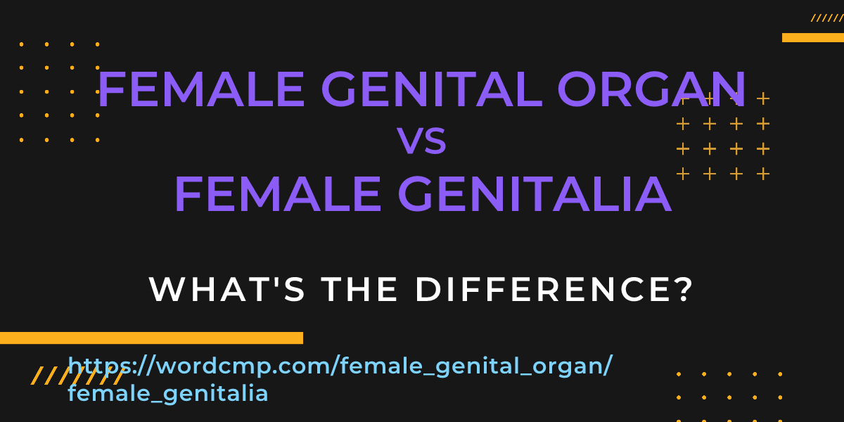 Difference between female genital organ and female genitalia