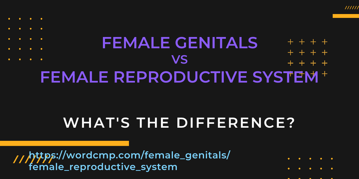 Difference between female genitals and female reproductive system