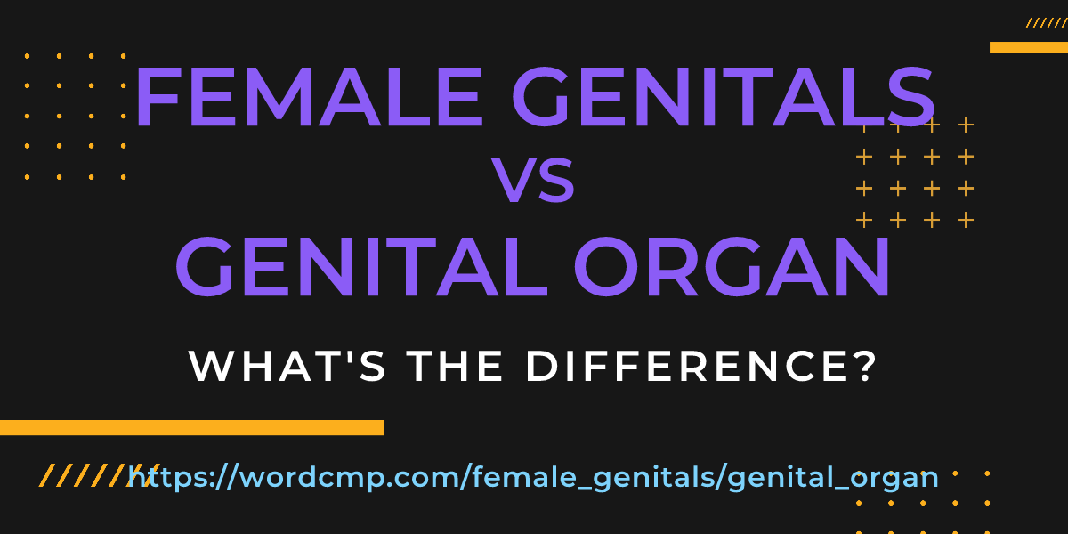Difference between female genitals and genital organ