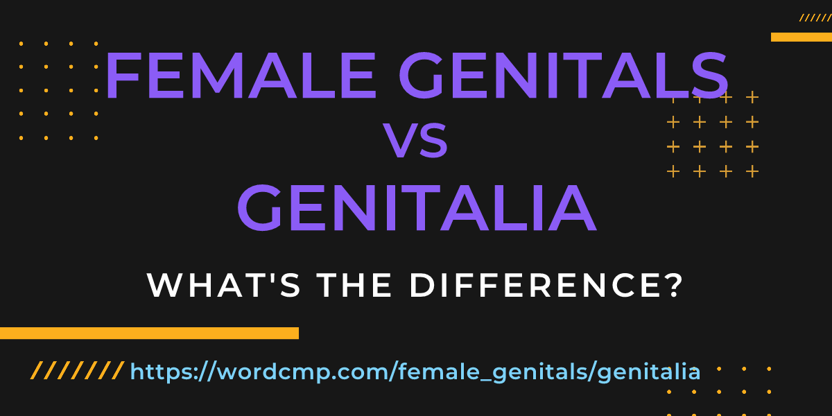 Difference between female genitals and genitalia