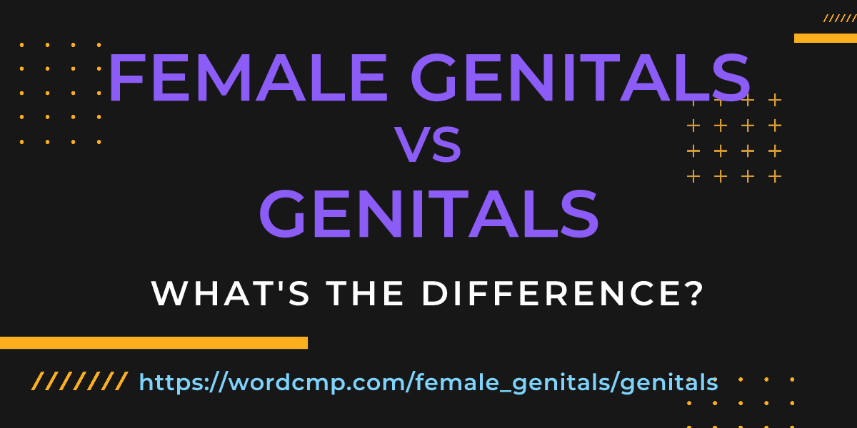 Difference between female genitals and genitals