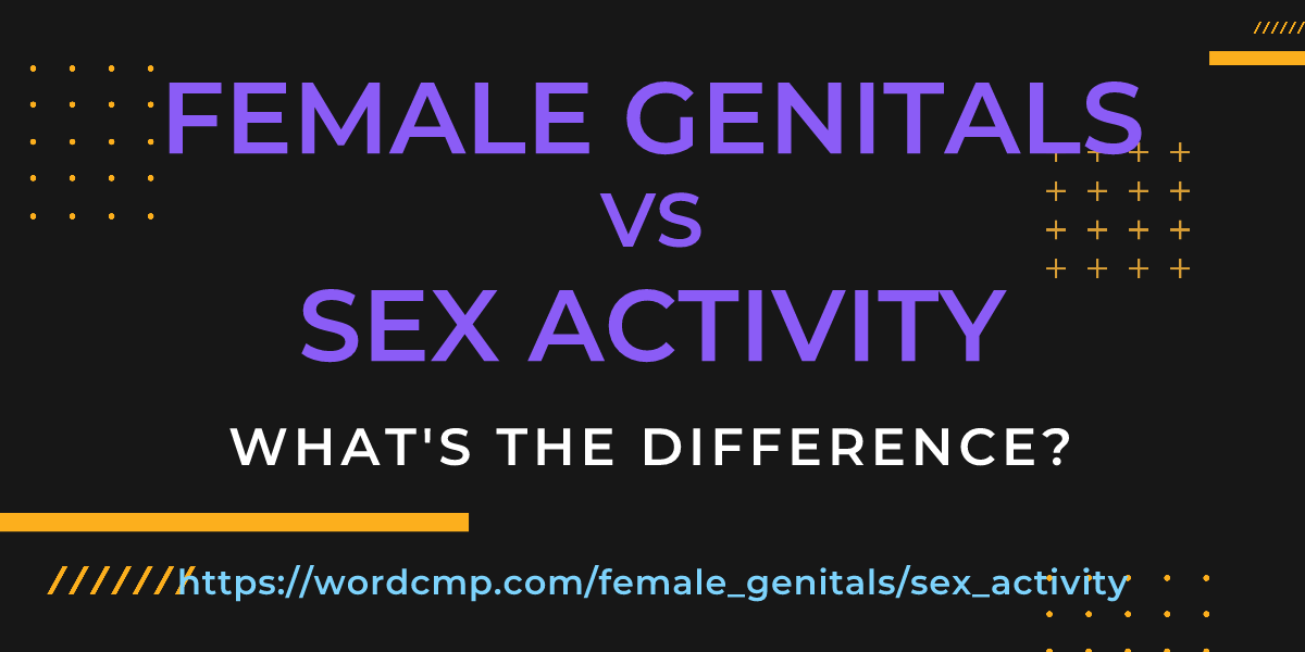 Difference between female genitals and sex activity