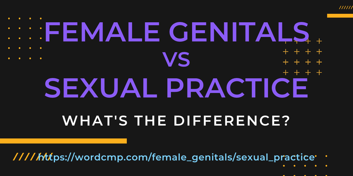 Difference between female genitals and sexual practice