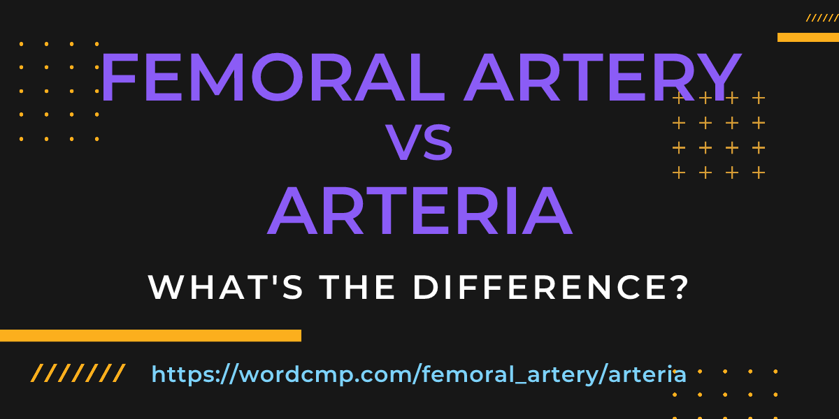 Difference between femoral artery and arteria