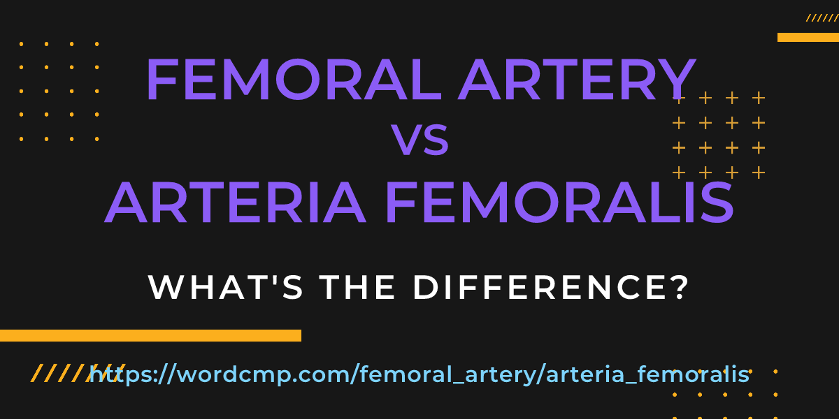 Difference between femoral artery and arteria femoralis