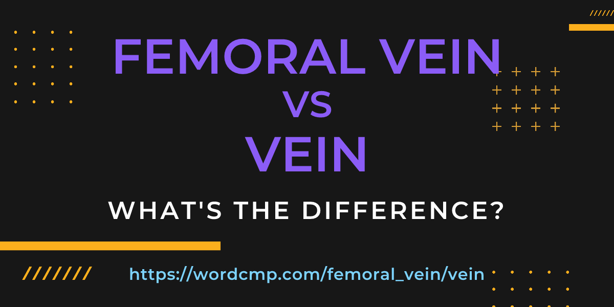 Difference between femoral vein and vein
