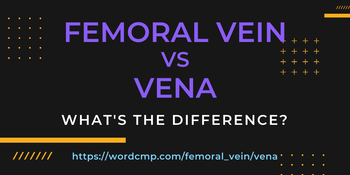 Difference between femoral vein and vena