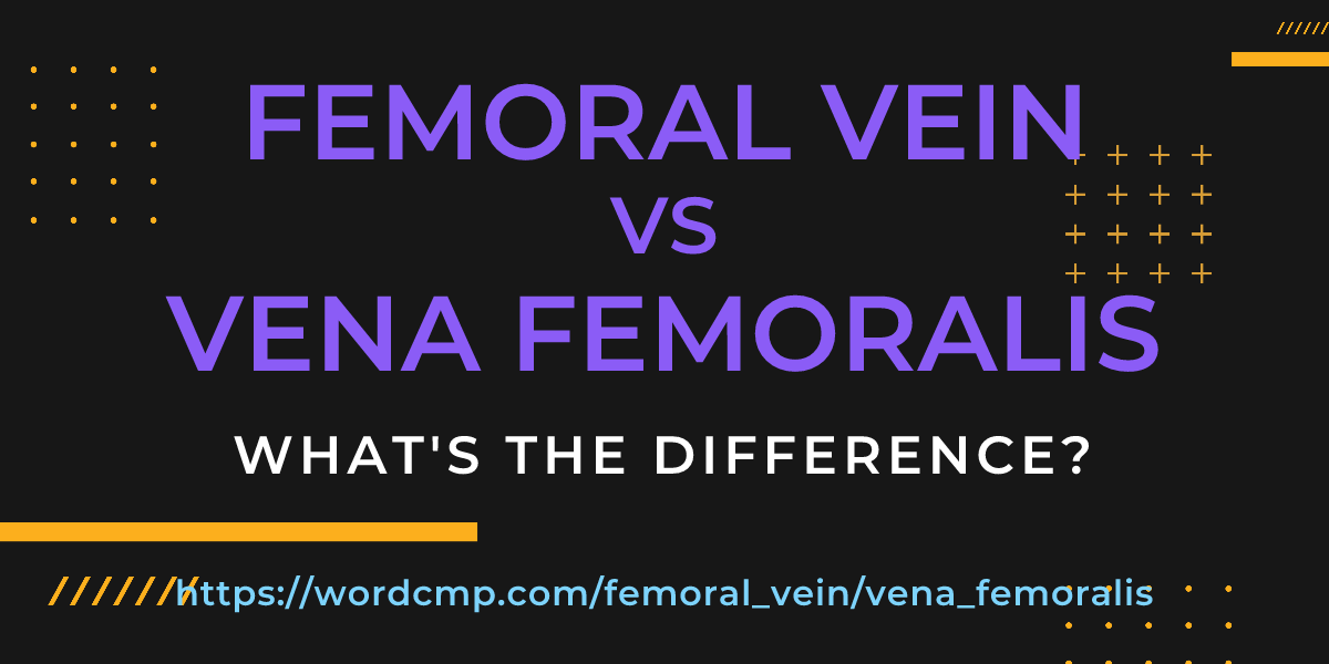 Difference between femoral vein and vena femoralis