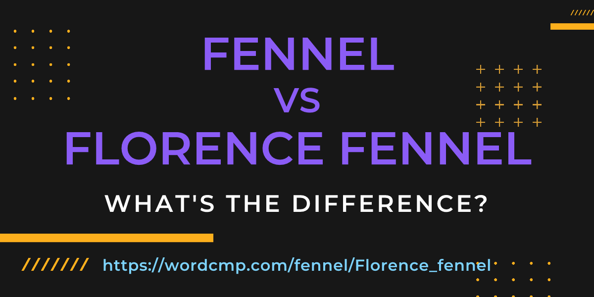 Difference between fennel and Florence fennel