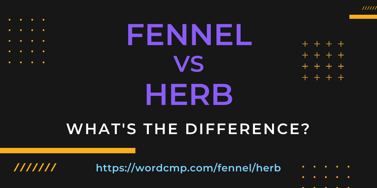 Difference between fennel and herb