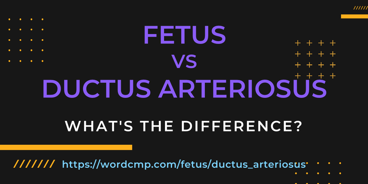 Difference between fetus and ductus arteriosus