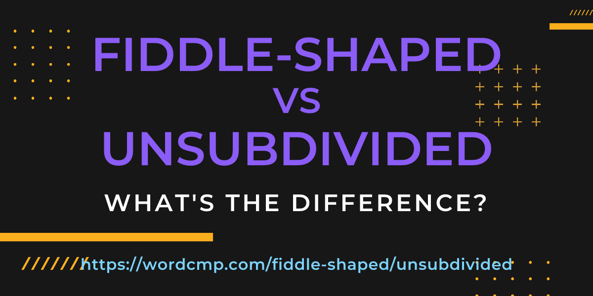 Difference between fiddle-shaped and unsubdivided