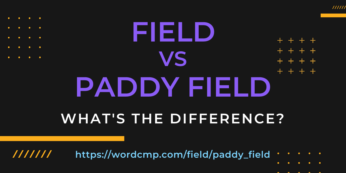 Difference between field and paddy field
