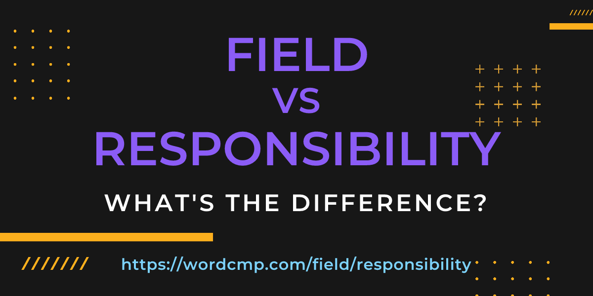 Difference between field and responsibility