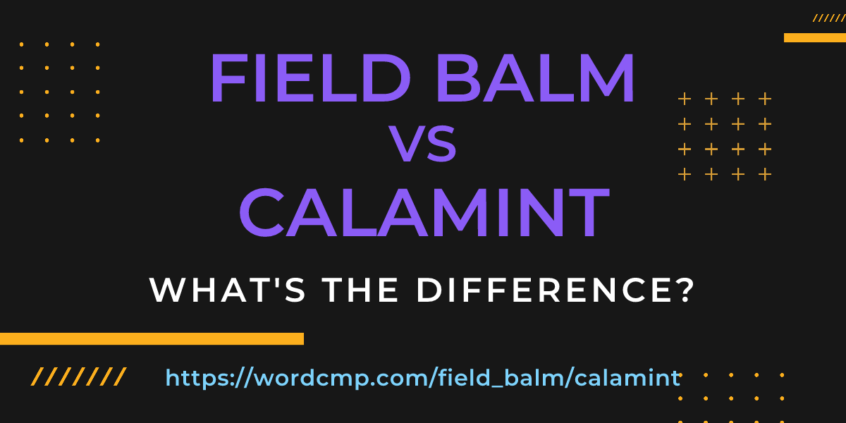 Difference between field balm and calamint