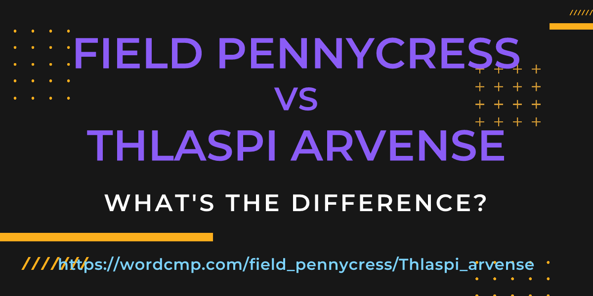 Difference between field pennycress and Thlaspi arvense