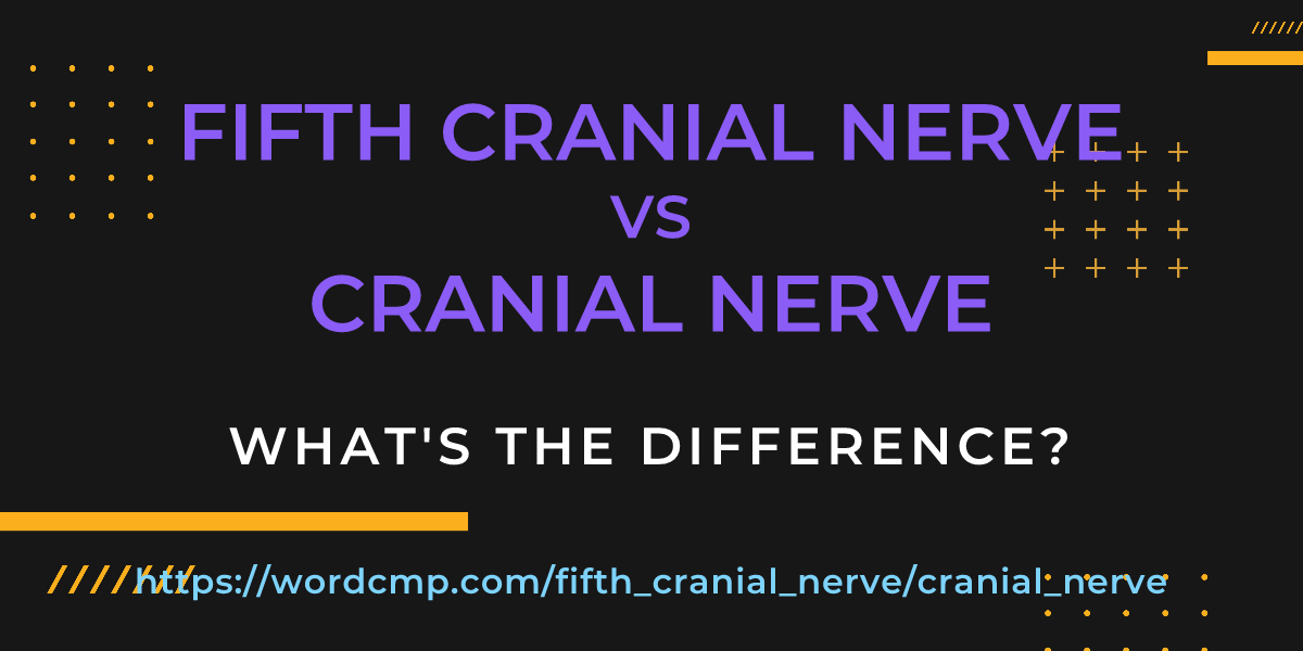 Difference between fifth cranial nerve and cranial nerve