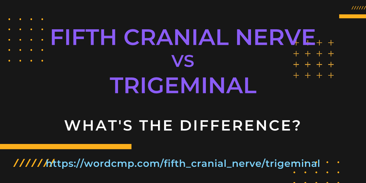 Difference between fifth cranial nerve and trigeminal