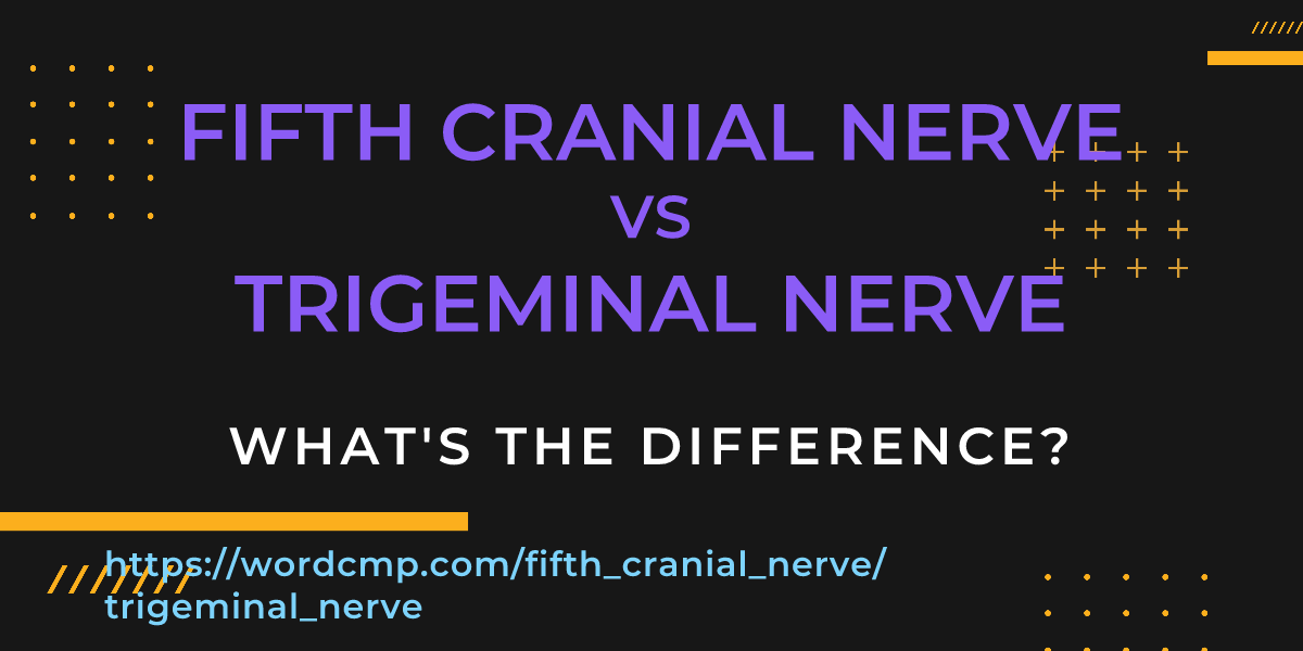 Difference between fifth cranial nerve and trigeminal nerve