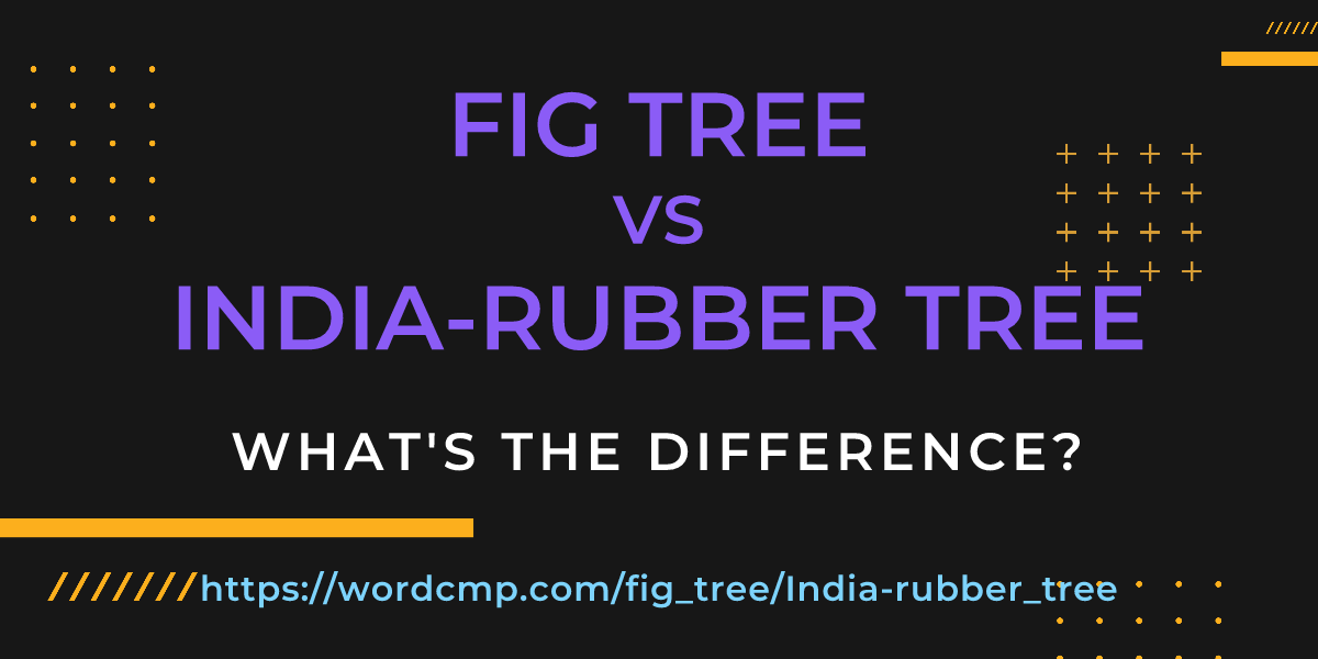 Difference between fig tree and India-rubber tree