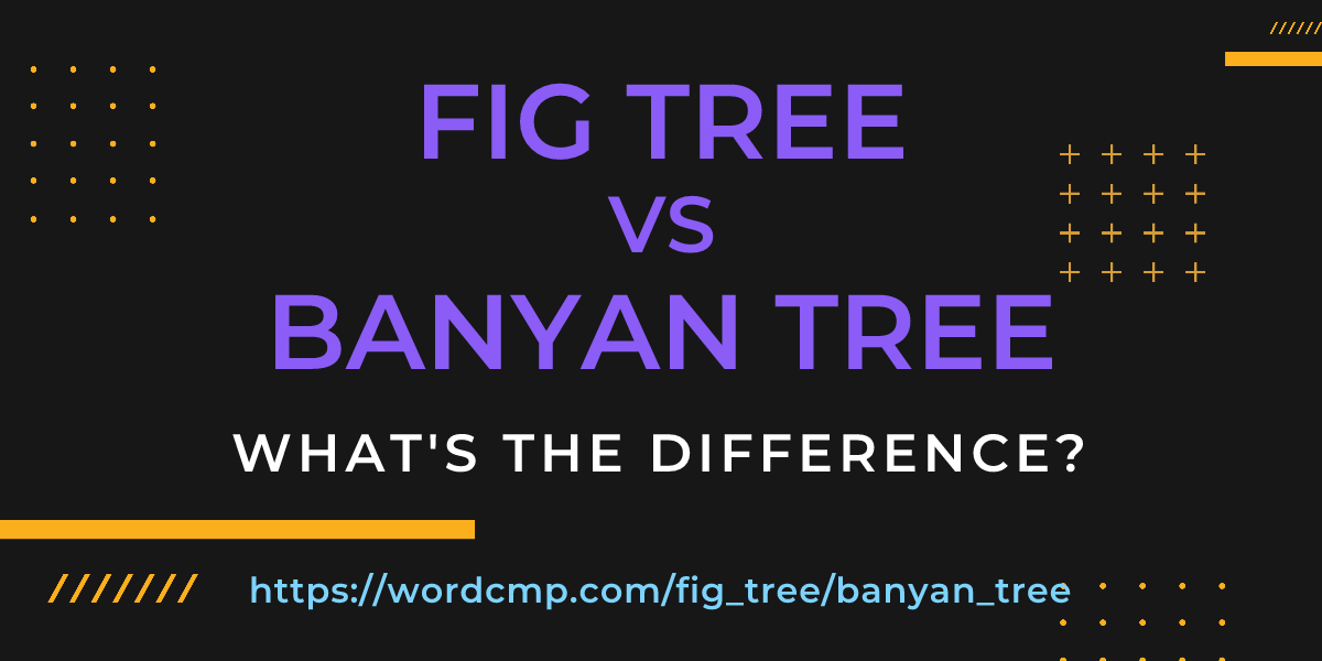 Difference between fig tree and banyan tree