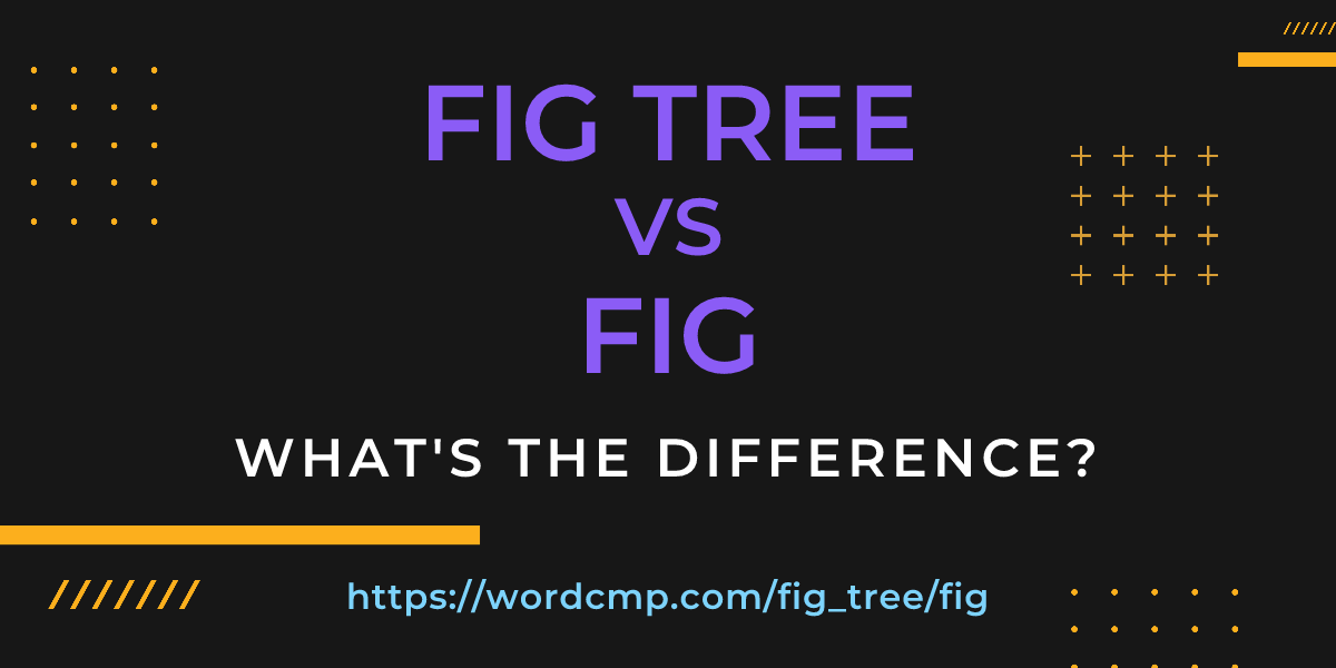 Difference between fig tree and fig