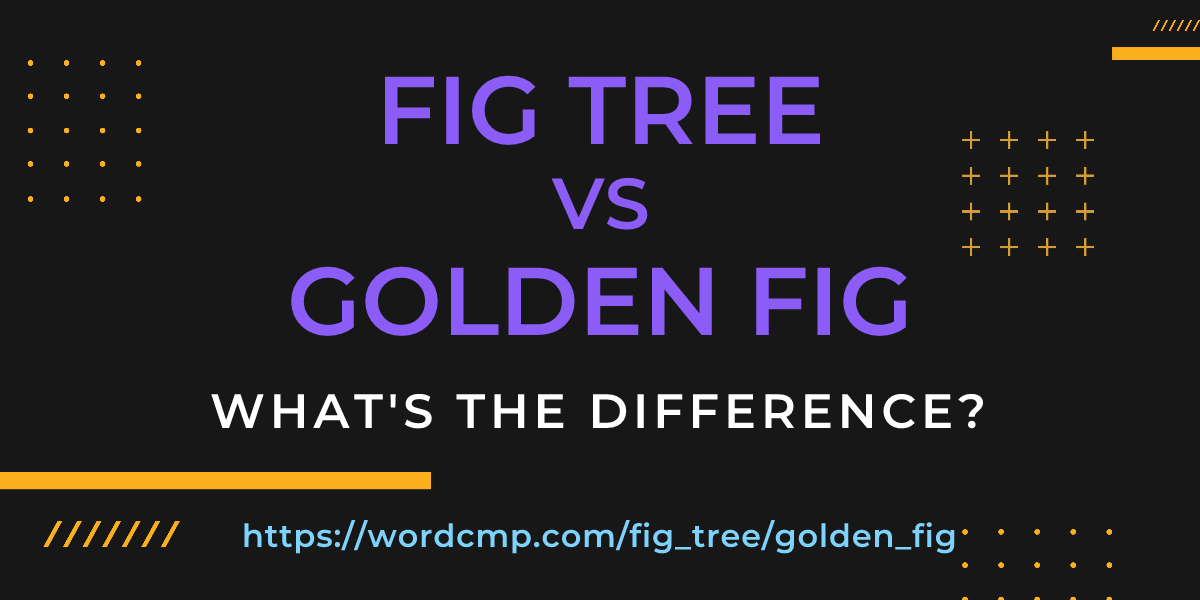 Difference between fig tree and golden fig