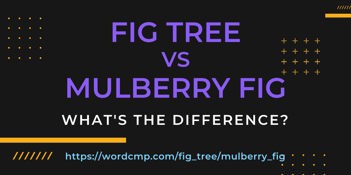 Difference between fig tree and mulberry fig