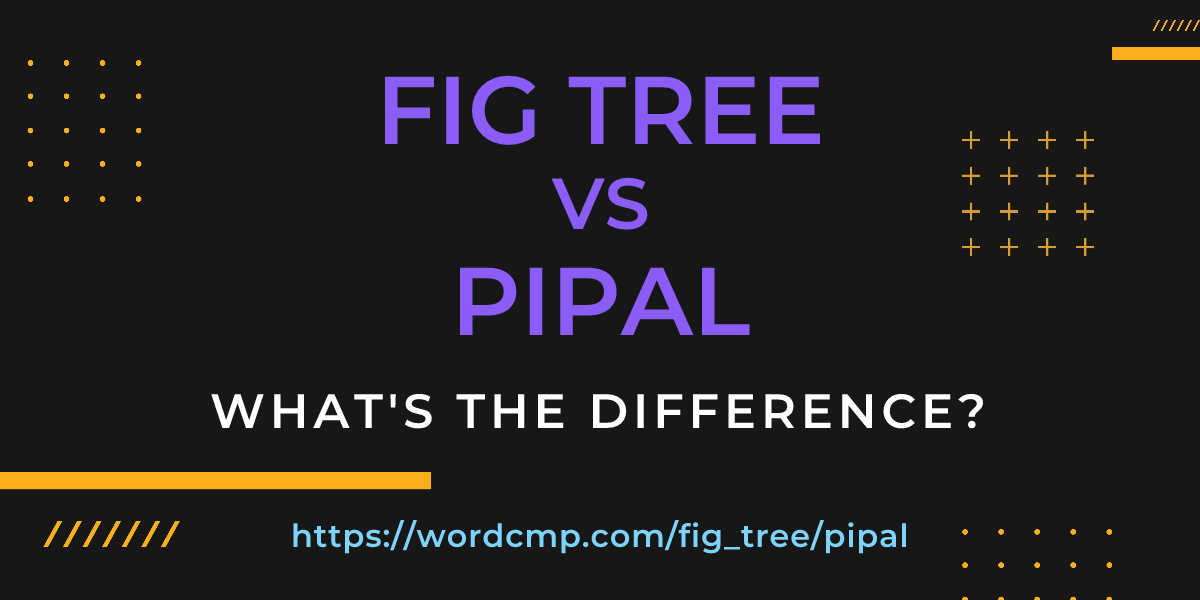 Difference between fig tree and pipal