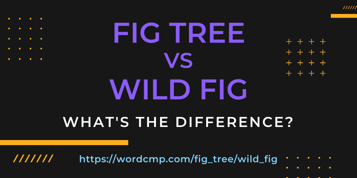 Difference between fig tree and wild fig